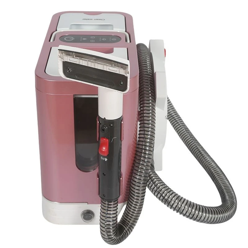 Pet Pro Carpet Cleaner best